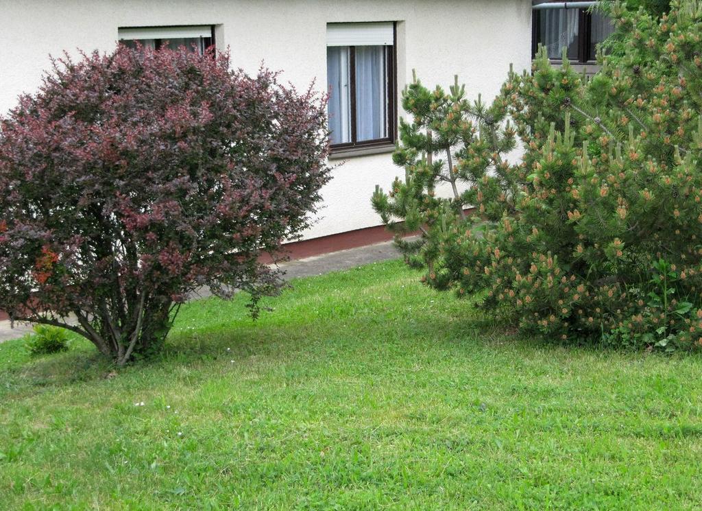 Budai Garden House Hévíz Rum bild