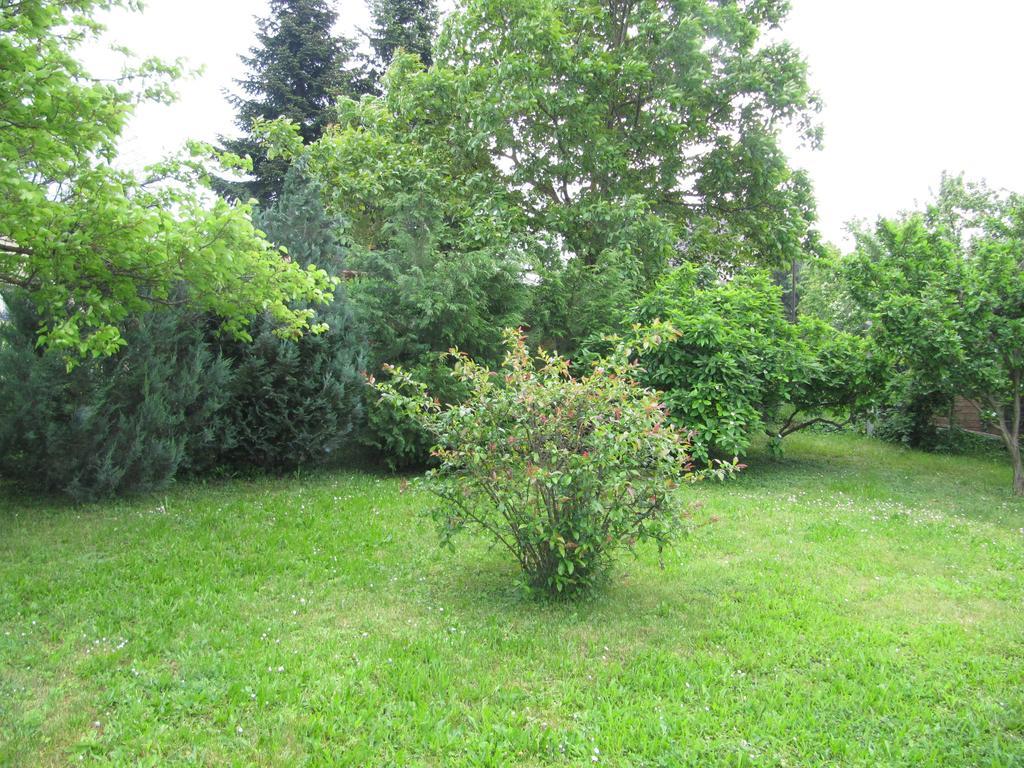 Budai Garden House Hévíz Rum bild